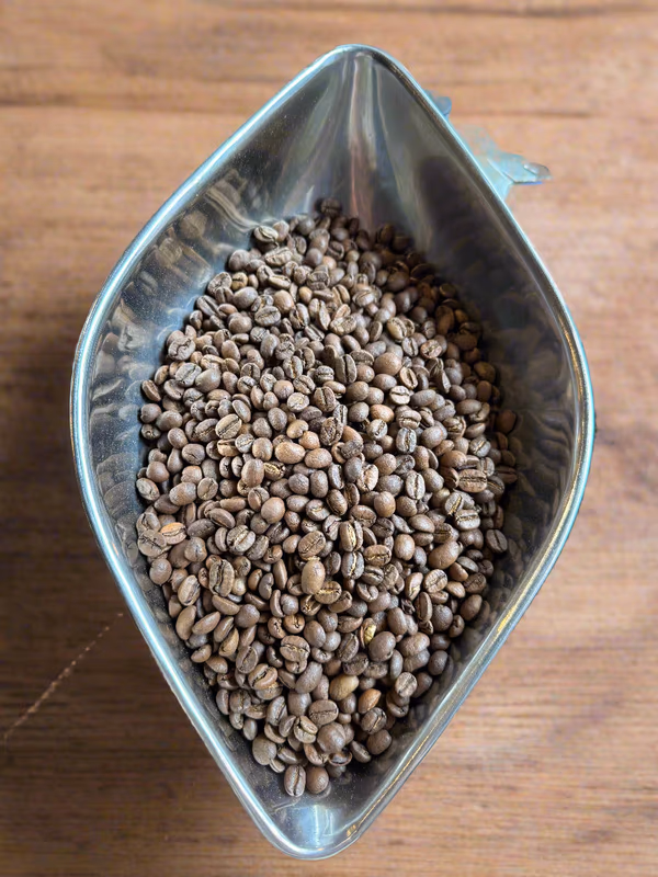 EL SALVADOR  - Miramar Red Honey