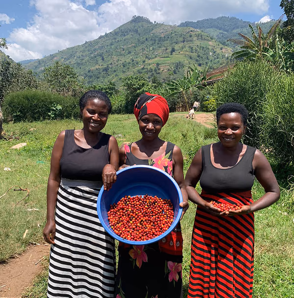 Nyabirongo Extended Fermentation Natural, Uganda