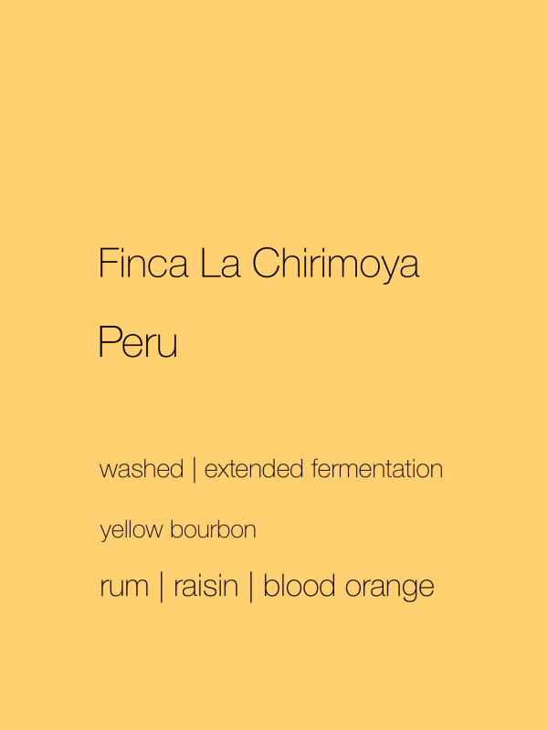 Peru - Finca La Chirimoya | Washed Yellow Bourbon | Extended fermentation