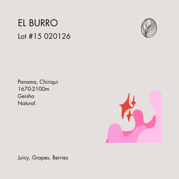 Panama • El Burro Estate Lot #15 020126 – Natural Geisha