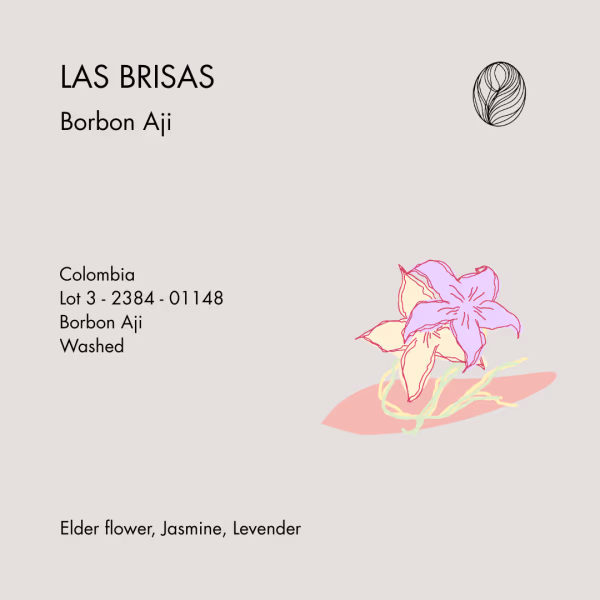 LAS BRISAS Bourbon Aji Washed (The most floral coffee we've ever had)