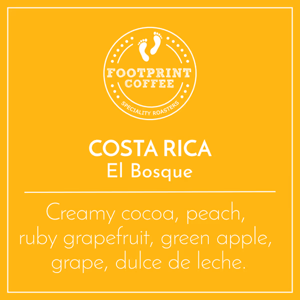 Costa Rica – El Bosque