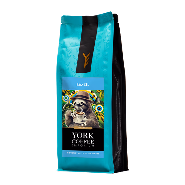 Brazil Arara