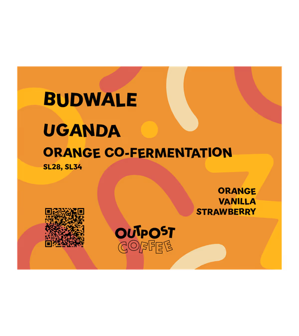 Budwale, Orange Co-Fermentation, Uganda