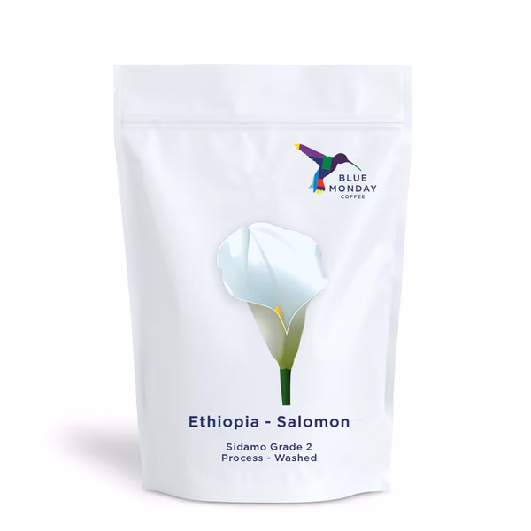 Ethiopia Salomon