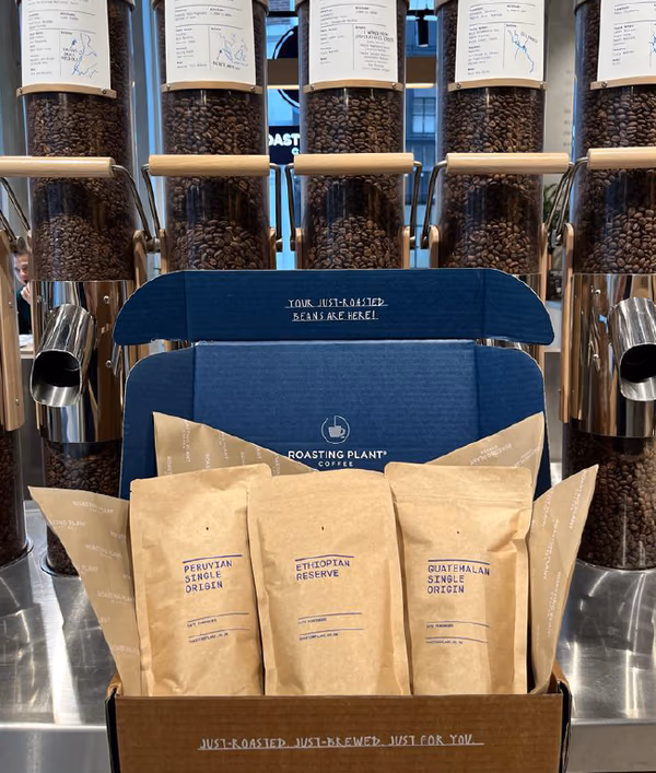 Balanced Tasting Set