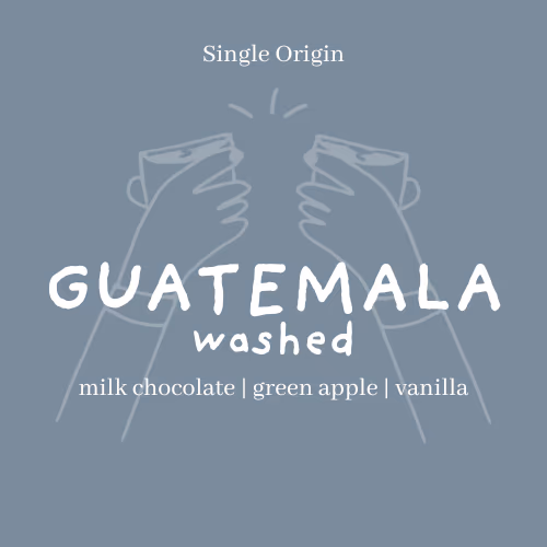 Guatemala | Blue Ayarza - Washed