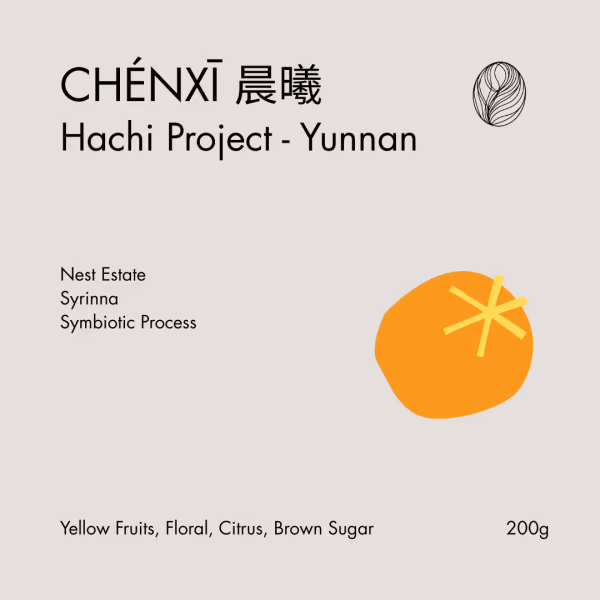Hachi Yunnan - LOT 33 • 晨熙 (Chénxī)