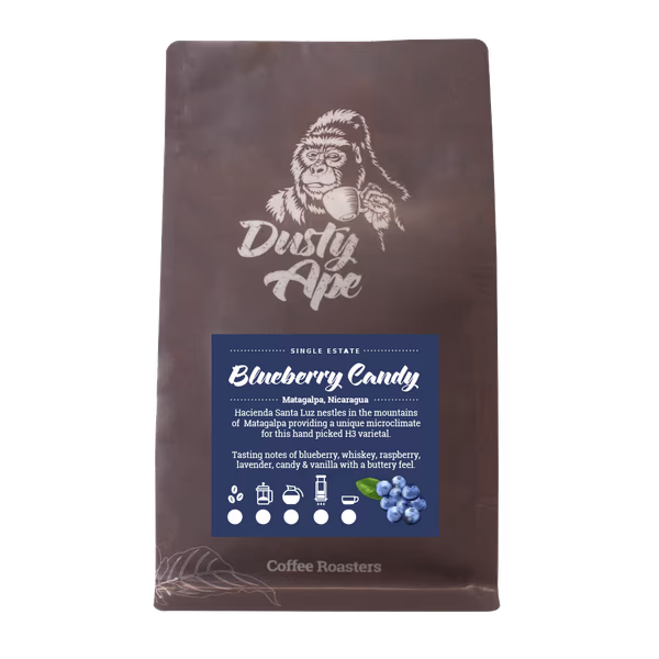 Nicaragua Blueberry Candy