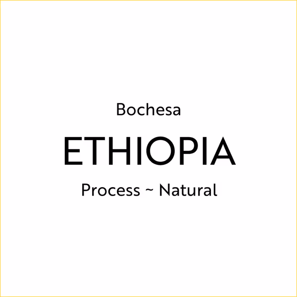 Bochesa