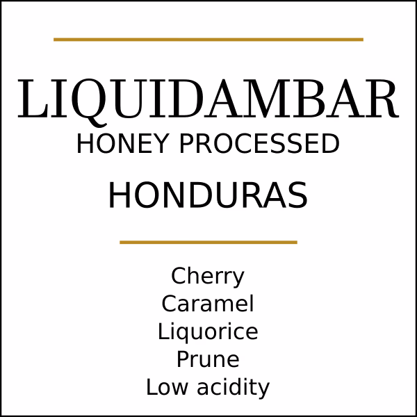 Honduras Finca Liquidambar Medium Roast