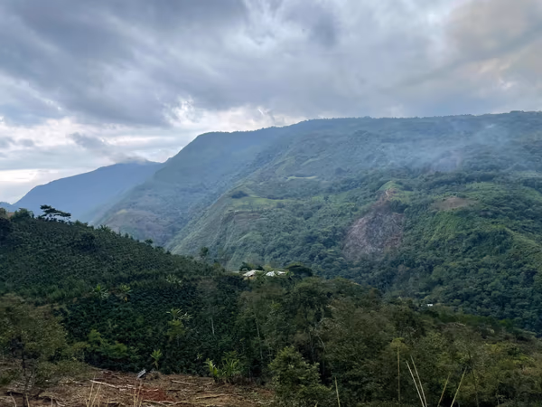 Peru Roiber Becerra Gesha Natural