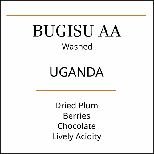Uganda Bugisu AA Medium Roast