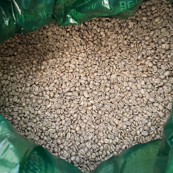 Colombian Antioquia Supremo Green Coffee Beans