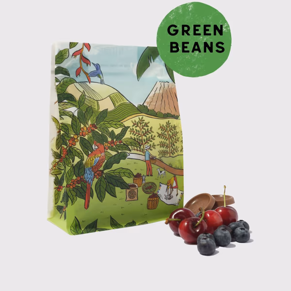 Green Guatemala El Fogon Coffee Beans