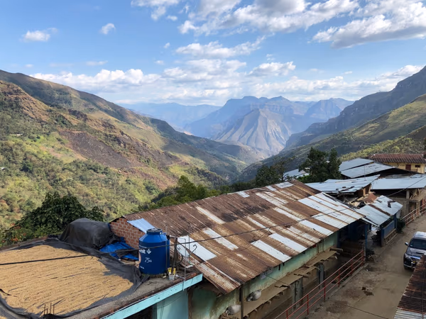 Peru Hydro Water Decaf