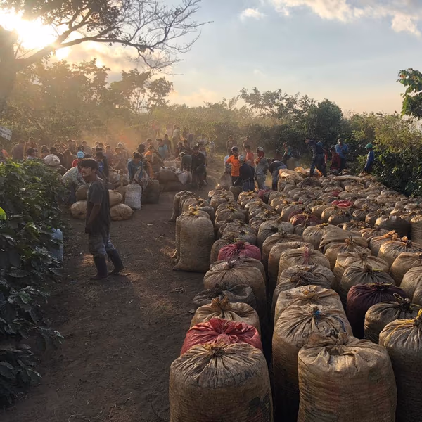 Guatemala - La Bendición