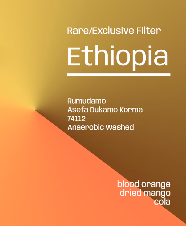 Ethiopia Rumudamo Anaerobic washed -  Rare/Exclusive Filter