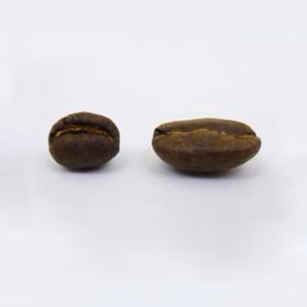 Kenya Peaberry - 500g