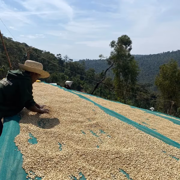 Ethiopia Sidamo