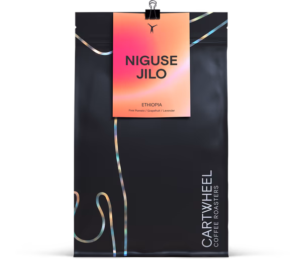 Niguse Jilo