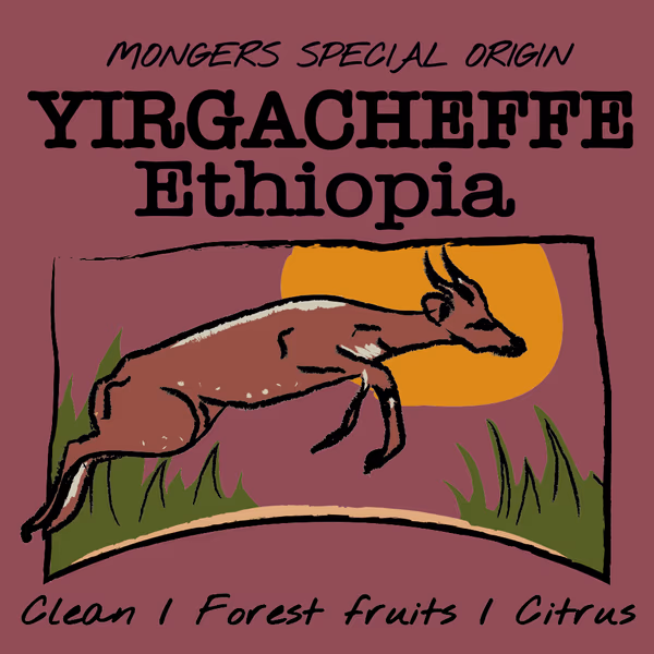 ETHIOPIA - YIRGACHEFFE