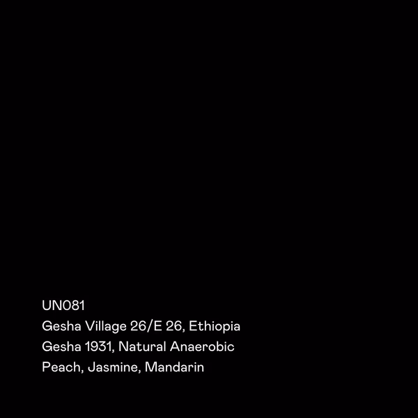 UN081 - Gesha Village 26/E-26, Gesha 1931, Natural Anaerobic