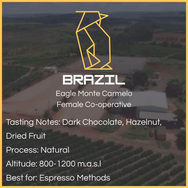 Brazil - Eagle Monte Carmelo