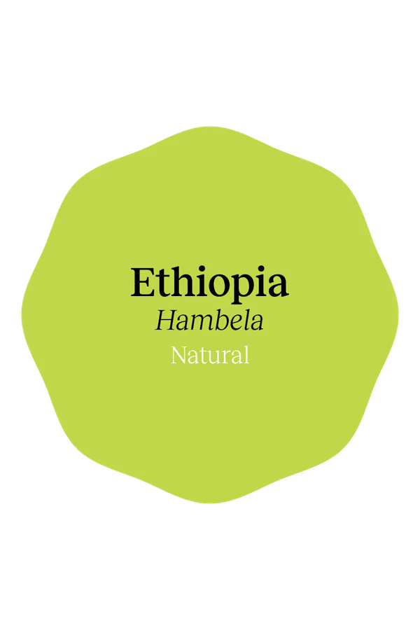 Ethiopia Hambela Natural