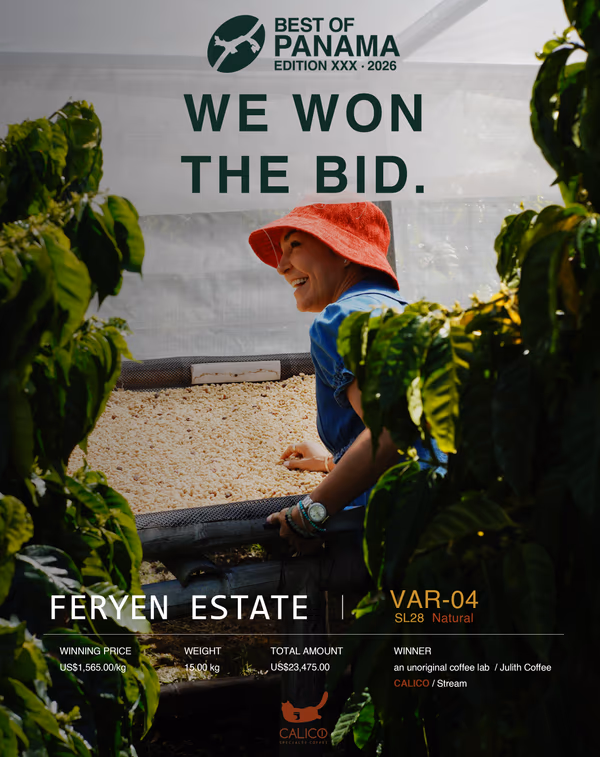 BOP 2026 Panama Feryen Estate SL28 Natural VAR-04 — 15g