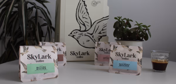 Four pack sampler