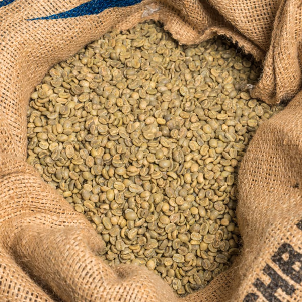 Brazilian Fazenda Sao Lucas Green Coffee Beans