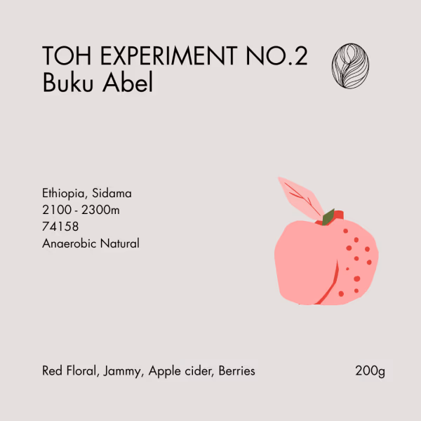 TOH Experiment No.2 • Buku Abel