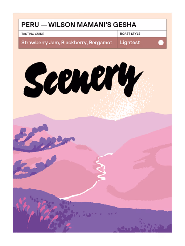 Peru - Wilson Mamani Contreras' Gesha