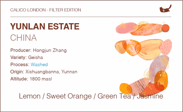 China Yunlan Estate Geisha - Traditional Washed