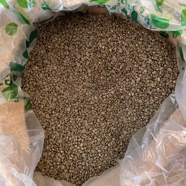 Costa Rica Tarrazú Green Coffee Beans