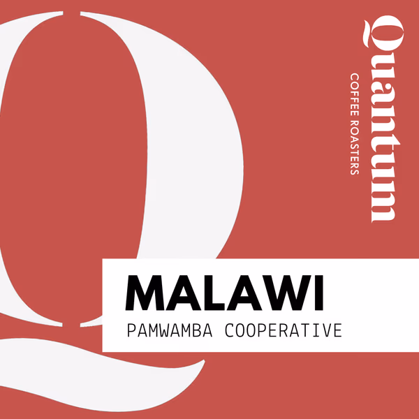 MALAWI, Pamwamba Cooperative, AA Plus