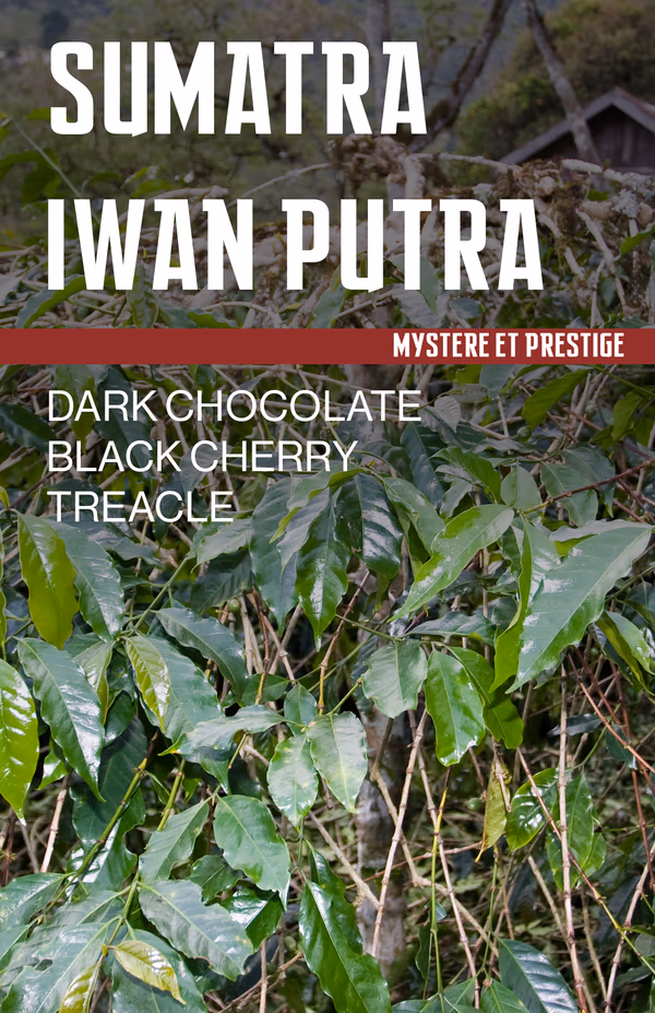Sumatra Iwan Putra