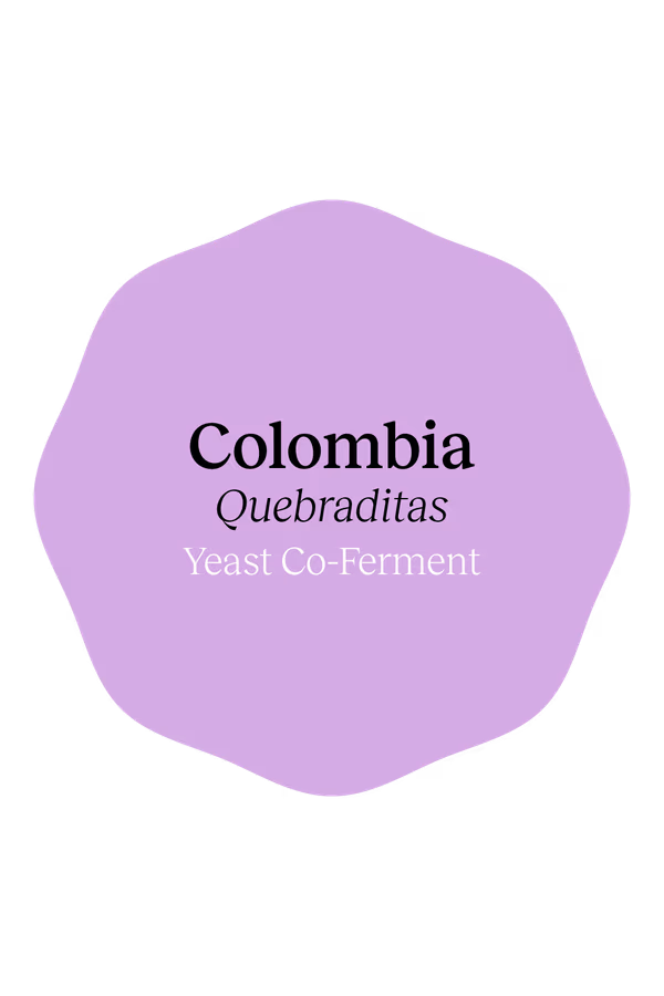 Colombia Quebraditas Yeast Co-Ferment