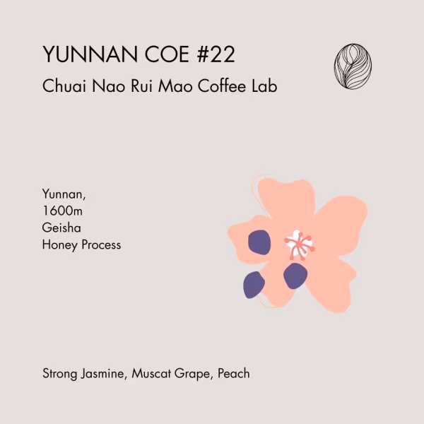 YUNNAN COE #22 • Chuai Nao Rui Mao Coffee Lab