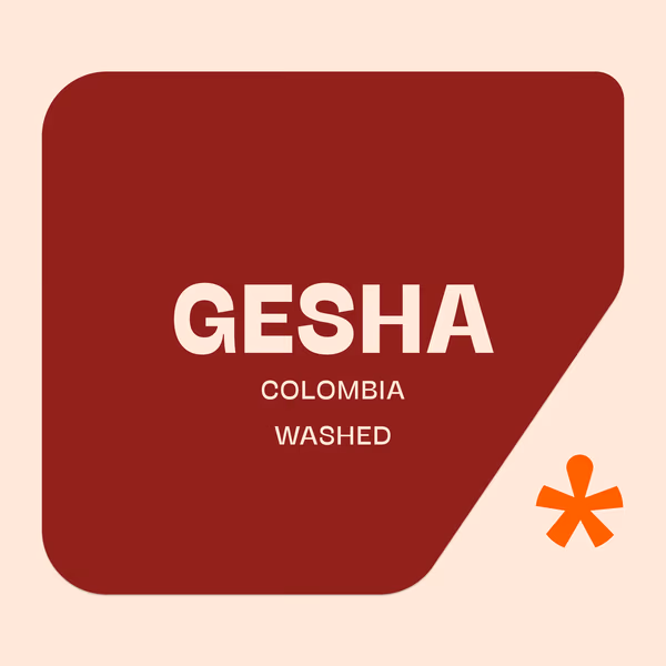 Wilson Alba - Gesha