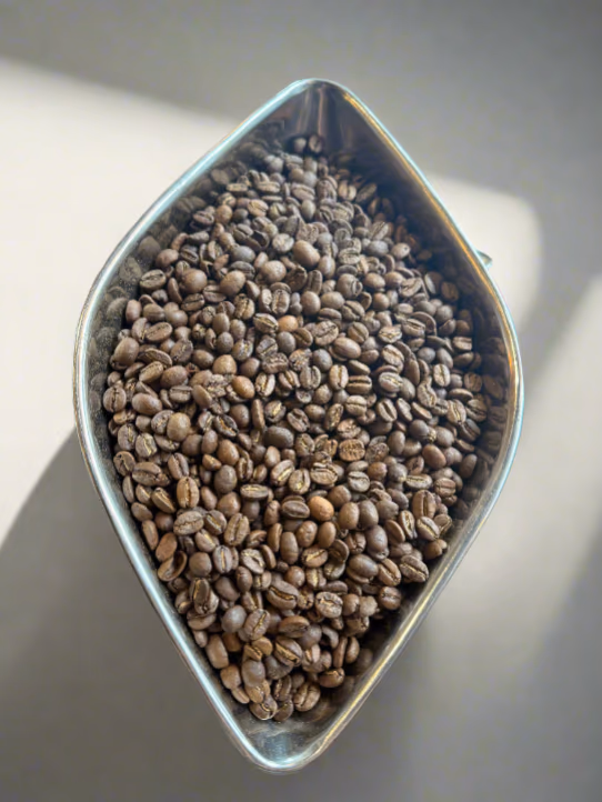 Kenya - Asali AB