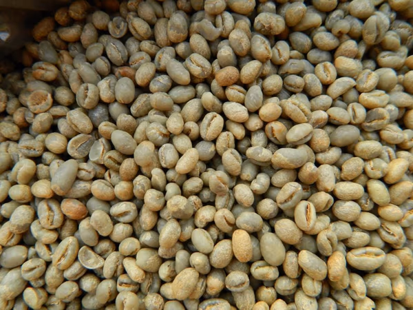Kenya Peaberry Kisii