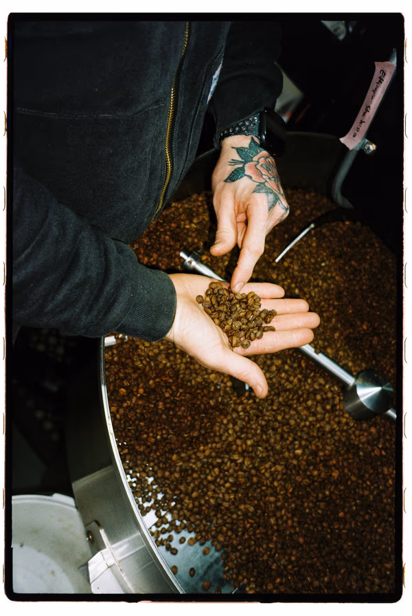 Rested / Test Roasts - Filter & Espresso