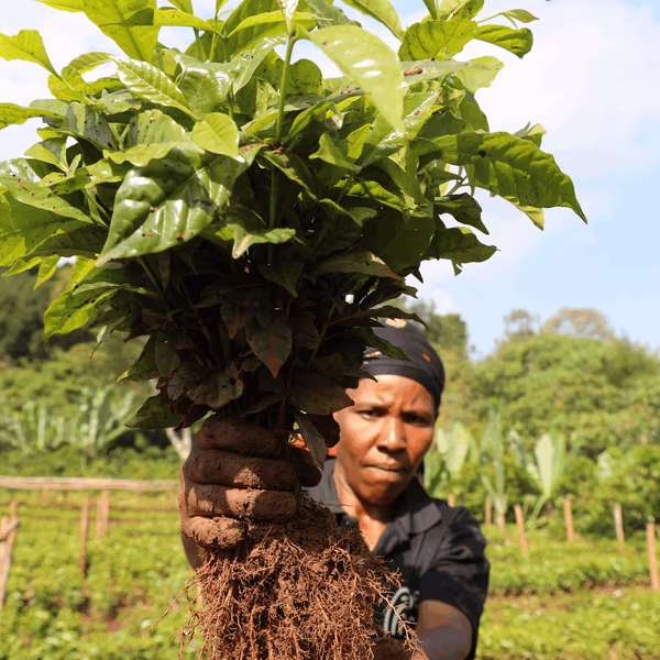 Ethiopia – Bette Buna