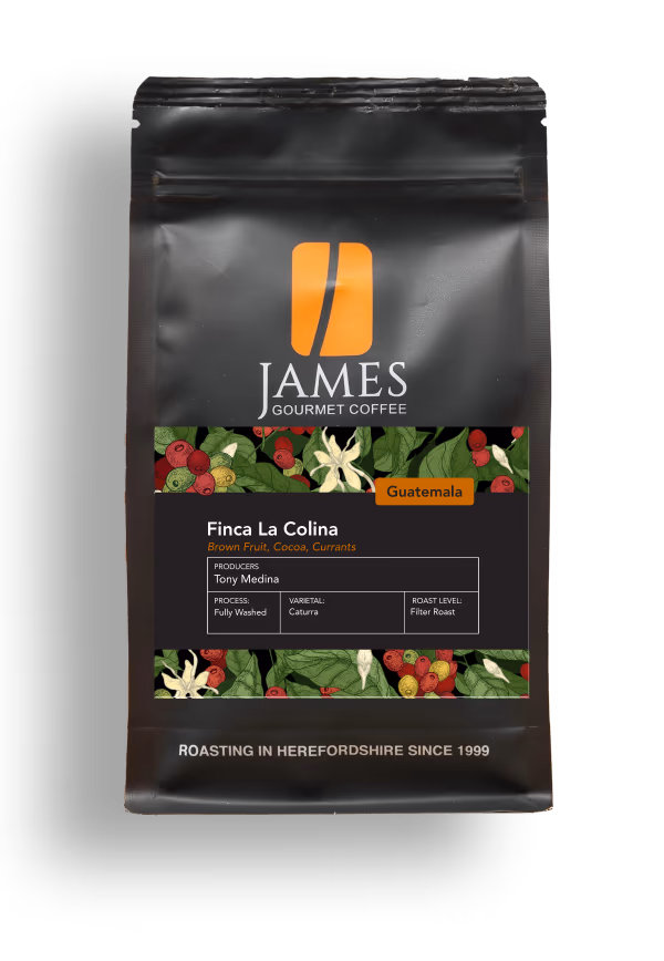 Guatemala Finca La Colina Filter