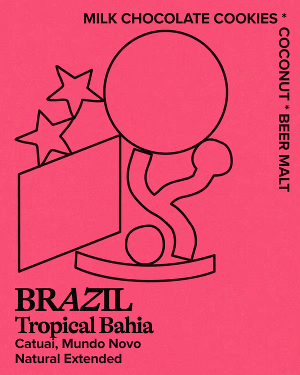 Brazil, Tropical Bahia