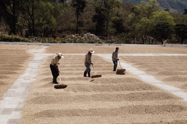 Vanessa Braun Valle - Finca Concepción
