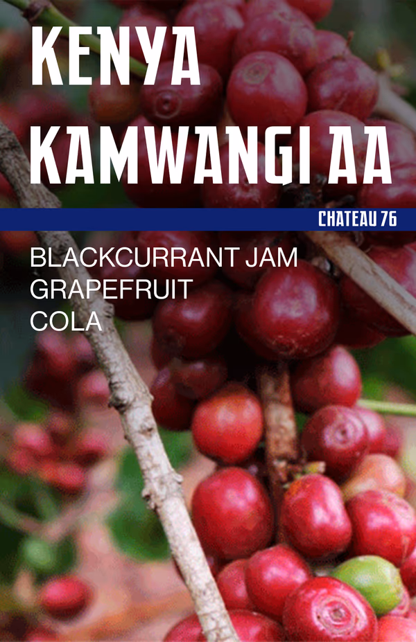 Kenya Kamwangi AA