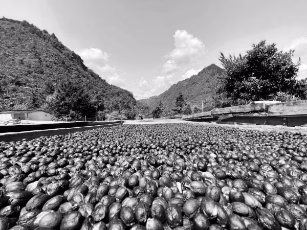 Guatemala El Cabro II